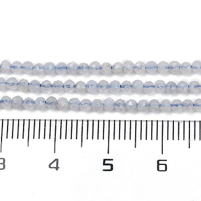 Natural Blue Lace Agate Beads Strands G-Z074-A01-03-1
