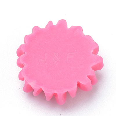 Resin Cabochons CRES-Q197-24A-1