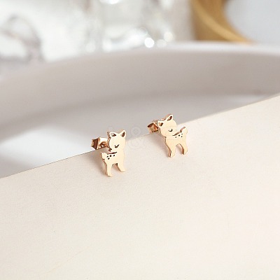 304 Stainless Steel Stud Earrings for Women DL2638-3-1