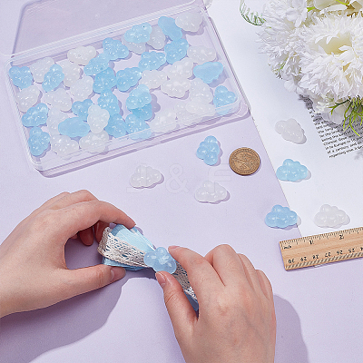 50Pcs 2 Colors Transparent Resin Cabochons RESI-WR0001-15-1
