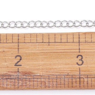 Tarnish Resistant 304 Stainless Steel Curb Chains CHS-F006-04B-P-1