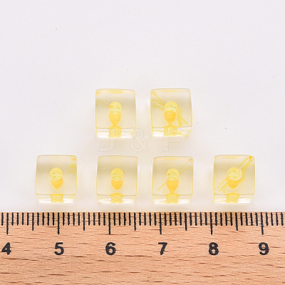 Transparent Acrylic Beads TACR-S154-12A-81-1