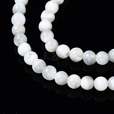 Natural Trochid Shell/Trochus Shell Beads Strands SSHEL-S266-023A-01-1