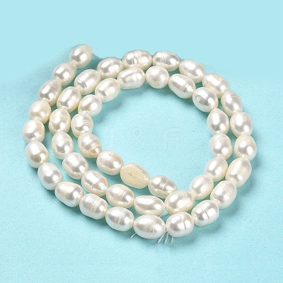 Natural Cultured Freshwater Pearl Beads Strands PEAR-E016-168-1