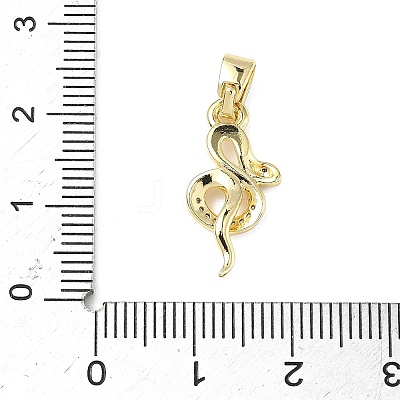 Brass Micro Pave Cubic Zirconia Pendants ZIRC-I356-43G-1