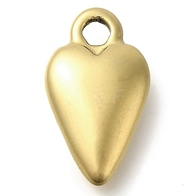Ion Plating(IP) 304 Stainless Steel Pendants STAS-I310-06G-1