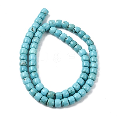 Natural Magnesite Beads Strands G-P598-C01-01A-1