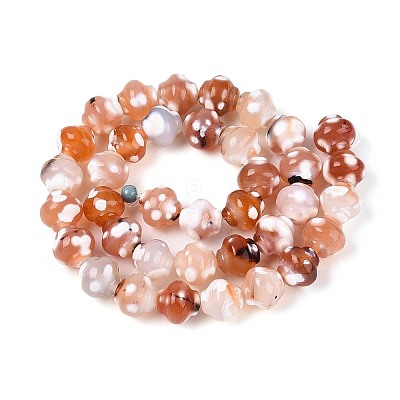 Dyed Natural Agate Beads Strands G-T144-27D-1