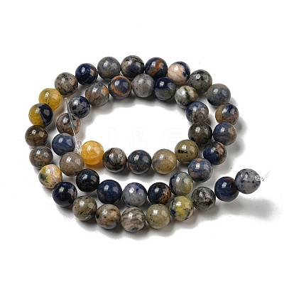 Natural Sodalite Beads Strands G-F591-13-1