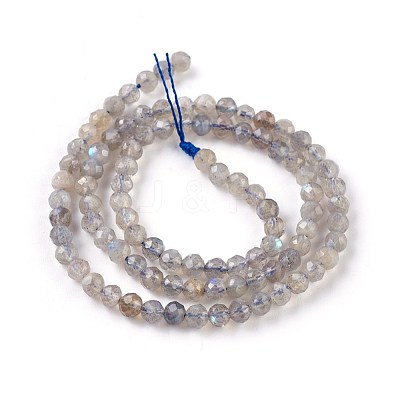 Natural Labradorite Beads Strands G-O176-04A-1