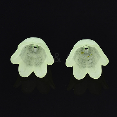 Transparent Acrylic Bead Caps FACR-N005-002B-1