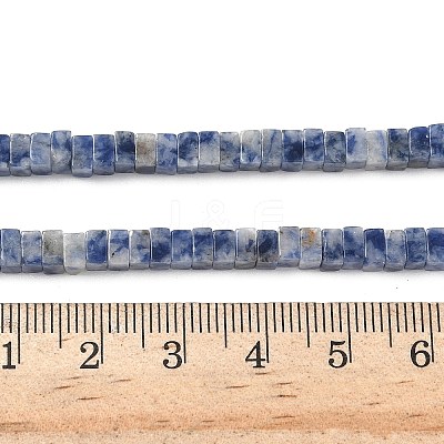 Natural Blue Spot Jasper Beads Strands G-I394-A08-1