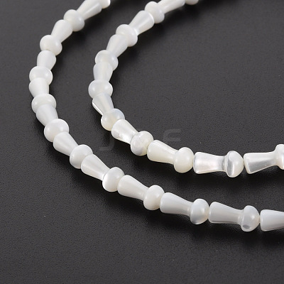 Natural Trochid Shell/Trochus Shell Beads Strands SSHEL-T014-44-1
