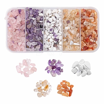 150G 5 Style Natural Mixed Gemstone Chip Beads G-FS0001-09-1