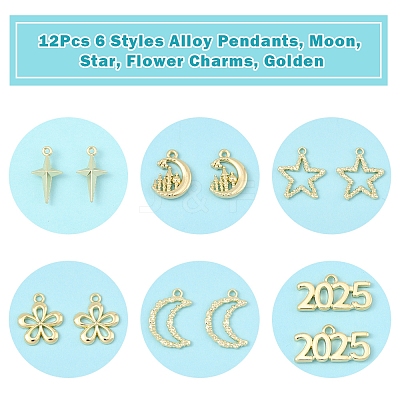 12Pcs 6 Styles Alloy Pendants FIND-FS0003-38G-1