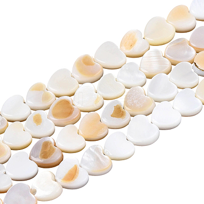 4 Strands Natural Freshwater Shell Beads Strands SHEL-PA0001-06-1