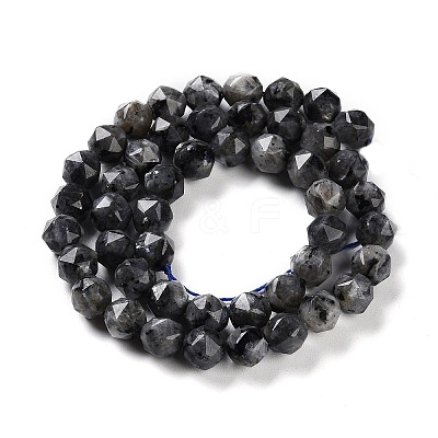 Natural Larvikite Beads Strands G-NH0021-A04-01-1
