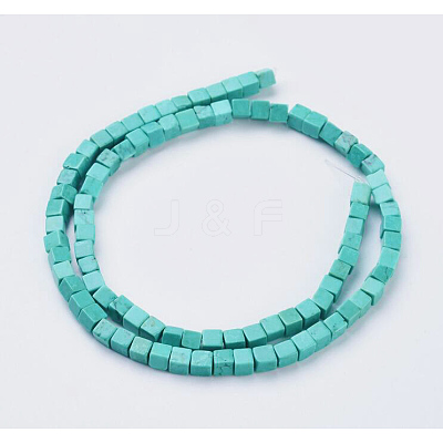 Natural Magnesite Beads Strands TURQ-K003-24-1