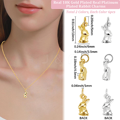 12Pcs 2 Colors Brass Charms KK-BBC0017-98-1