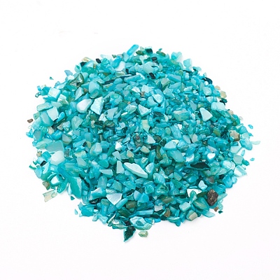 Natural Freshwater Shell Beads X-BSHE-I011-03B-1