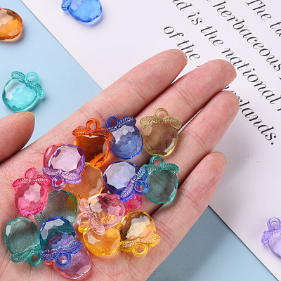 Transparent Acrylic Pendants TACR-S154-28B-1