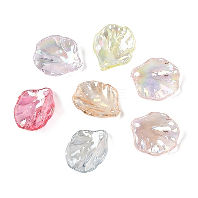 Transparent Acrylic Pendants TACR-F009-08-1