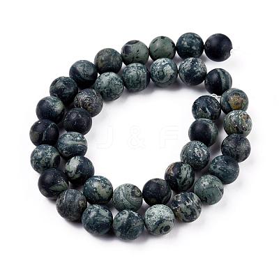 Frosted Natural Kambaba Jasper Beads Strands G-M272-14-6mm-1
