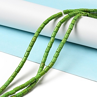 Synthetic Turquoise Beads Strands X-TURQ-G120-4x6mm-08-1