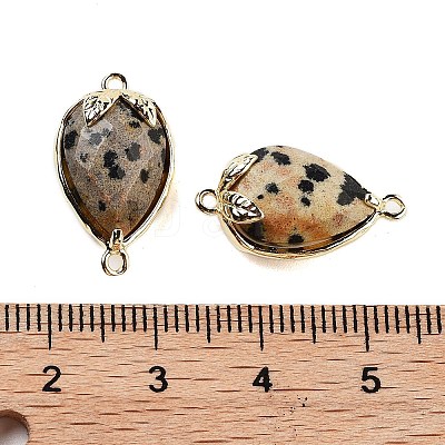 Natural Dalmatian Jasper Faceted Teardrop Connector Charms G-B081-03G-10-1