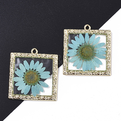 Epoxy Resin Pendants X-RESI-T045-029D-1