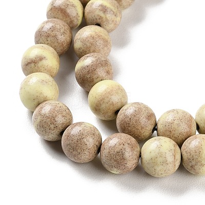 Natural Rainbow Alashan Agate Beads Strands G-NH0022-A-02-1