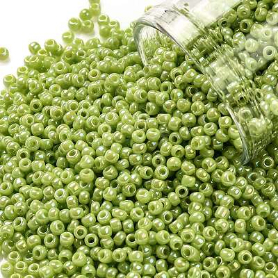 TOHO 11/0 Round Beads X-SEED-TR11-0404-1