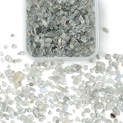 50G Natural Labradorite Beads G-YW0001-76-1