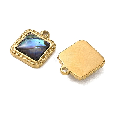 Natural Paua Shell Pendants STAS-G397-21G-02-1