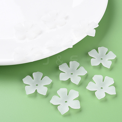 Transparent Acrylic Beads MACR-S373-119-D01-1