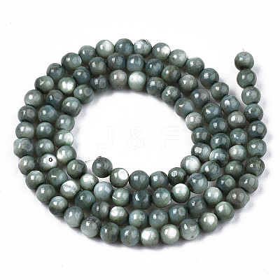 Natural Freshwater Shell Beads Strands X-SHEL-N003-24-B01-1