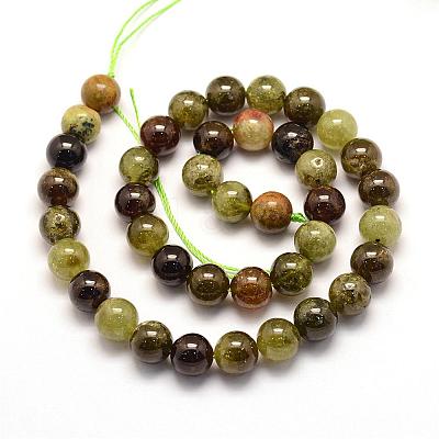 Natural Green Garnet Beads Strands G-G661-10mm-1