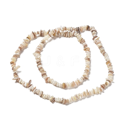 Natural Freshwater Shell Beads Strands G-M205-85B-1