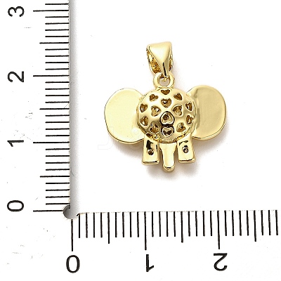 Brass Pendants KK-M324-21G-1