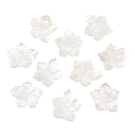 Natural White Shell Carved Beads SSHEL-B006-06-1