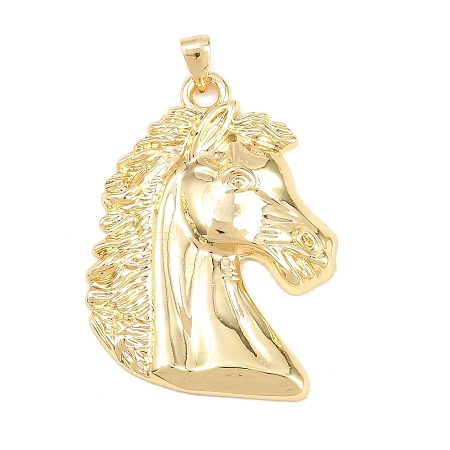 Brass Pendants KK-P353-21G-01-1