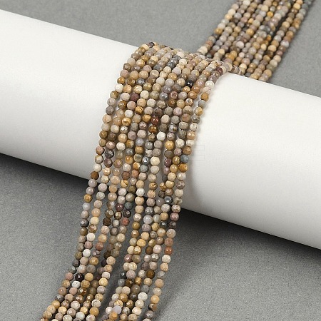 Natural Alashan Agate Beads Strands G-C181-B05-01-1