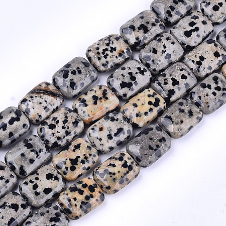 Natural Dalmatian Jasper Beads Strands G-T121-16-1