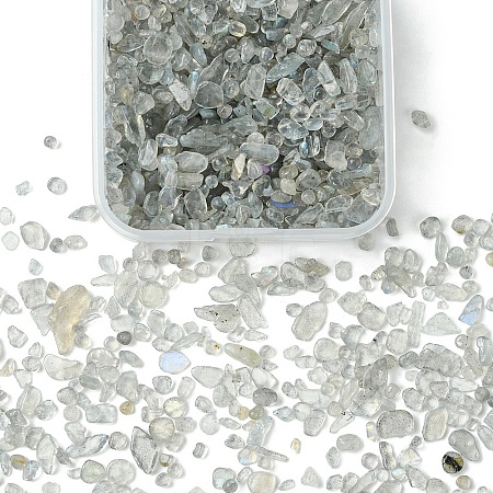 50G Natural Labradorite Beads G-YW0001-76-1
