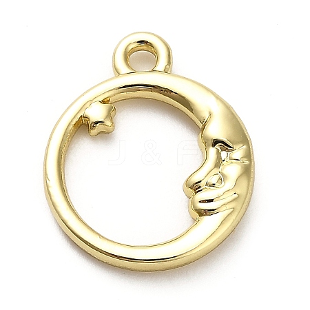 Alloy Pendants X1-FIND-A051-03B-G-1