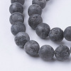 Natural Black Larvikite Bead Strands G-G735-57F-8mm-3