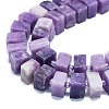 Natural Lepidolite/Purple Mica Stone Beads Strands G-K245-F01-05-3
