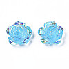 Transparent Resin Cabochons CRES-N030-001B-02-2