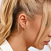 201 Stainless Steel Hoop Earrings for Women DR6966-1
