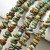 Natural HuBei Turquoise Bead Strands G-H345-A01-04-1